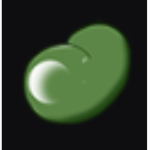 Midnight’s Bean Group