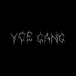 Yce Gang