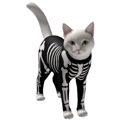 Halloween Cat