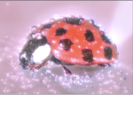 bugabooLuv