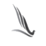 Firebird Airlines ™ Staff Academy