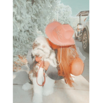 The strawberry dog’s