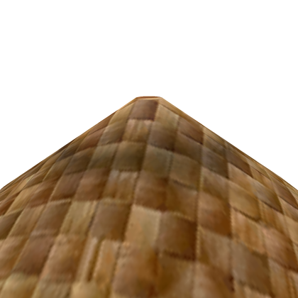 Master ninja hat