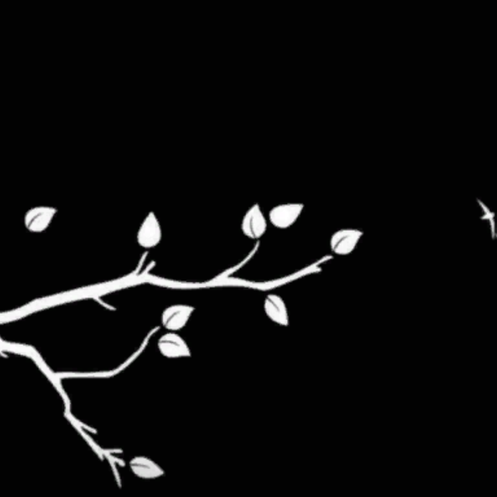 Black White Aesthetic Branch and Cage Background