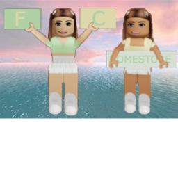 f&c homestore