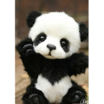 The_Baby_Panda
