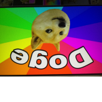 The Doge PlayzYT official Fan Group!