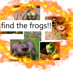 Find the Frogs!! [BETA]