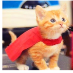 Cat galaxy:)