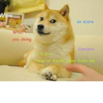 The Epic DOGE CREW!