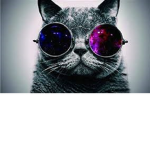 the real cat