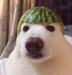 Cøndom broke we awoke