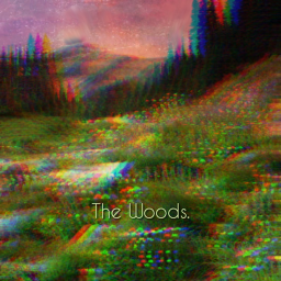 The woods.
