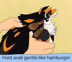 The Paw Association