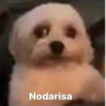 D o b I t o empresario
