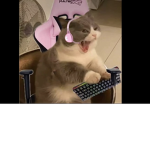Arii_its_c00l