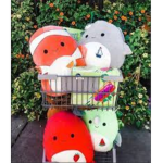 -The Squishmallow Squad-