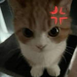tso anonim sirketleri