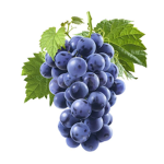 Grapes United
