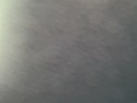 ADOPTMEFREEPETS14579