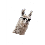 KING Llama