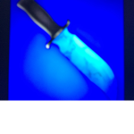 Murder search