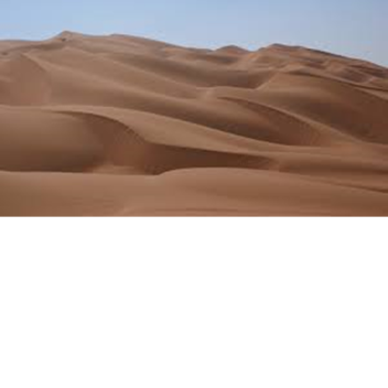 Live life in the desert and grow up skilled!