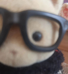 preppy bear
