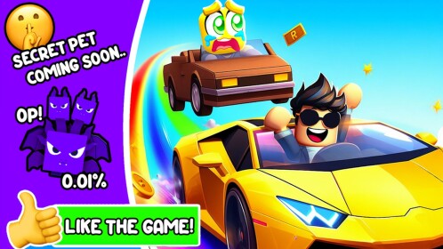 Race Car Simulator