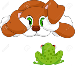 frogs and dogs rule