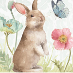 The cutest bunny club