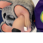 DelilahAhumadaCreater