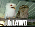 Ze Nest