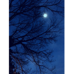 the moonlight closet