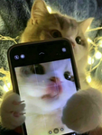 { ʟ ᴜ ᴄ ᴇ ɴ ᴛ }