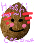 Hashibami Coconut