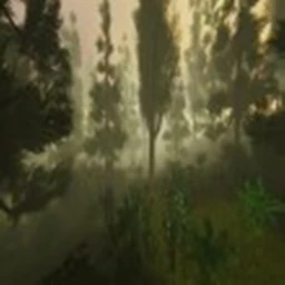 Realistic Forest icon