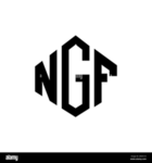 NGF | NYC BRONX |
