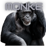 MONKEE FOREVER