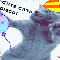 Cute cat disco!