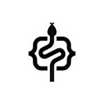 PythonKings