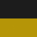 Imperial Austriа