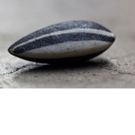 The seeds!