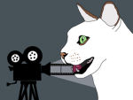Snowdrop’s Filmcrew