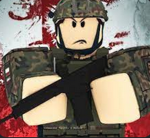 Polish Military Army