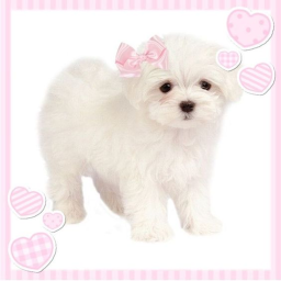 ʚ♡ɞ