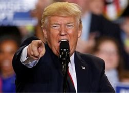 Donald Trump's Minions Take Over!