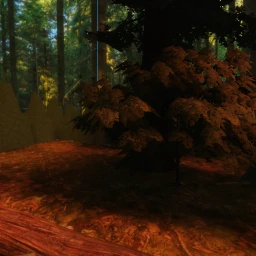 forest showcase realistic icon