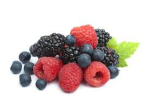 ~Ella’s Berries~