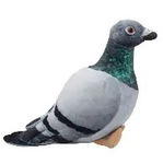 Pigeons United Dev Team